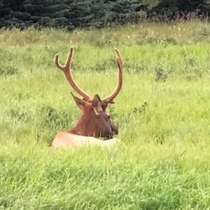 Meet your Posher, Ira